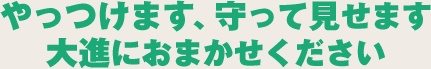 やっつけます、守って見せます　大進にお任せください