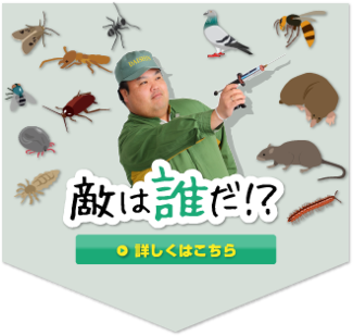 敵は誰だ！？害虫・害獣の種類から探す