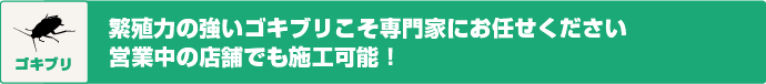 ゴキブリ　繁殖力の強いゴキブリこそ専門家にお任せください　営業中の店舗でも施工可能キブリ　繁殖力の強いゴキブリこそ