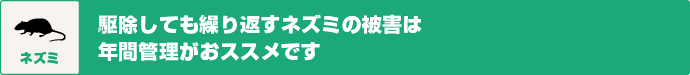 ネズミ　駆除しても繰り返すネズミの被害は年間管理がおススメです