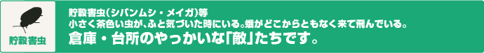 貯穀害虫（シバンムシ・メイガ）等　小さく茶色い虫が、ふと気づいた時にいる。蛾がどこからともなく来て飛んでいる。倉庫・台所のやっかいな「敵」たちです。