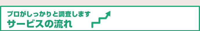 プロがしっかりと調査します　サービスの流れ