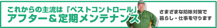 定期メンテナンス