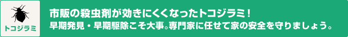 市販の殺虫剤が効きにくくなったトコジラミ！ 専門家に任せて家の安全を守りましょう。