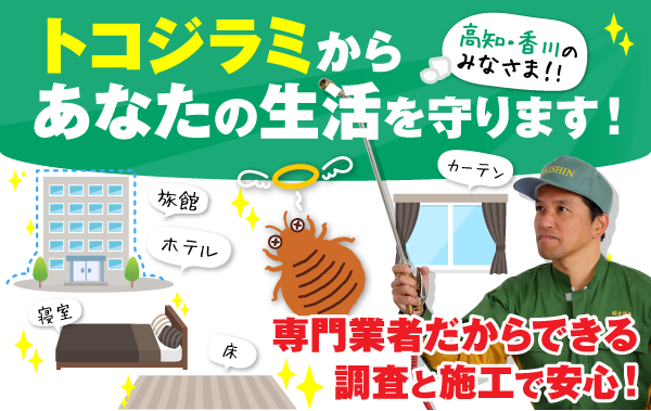 高知・香川のみなさま！専門業者だから安心！トコジラミからあなたの生活を守ります！